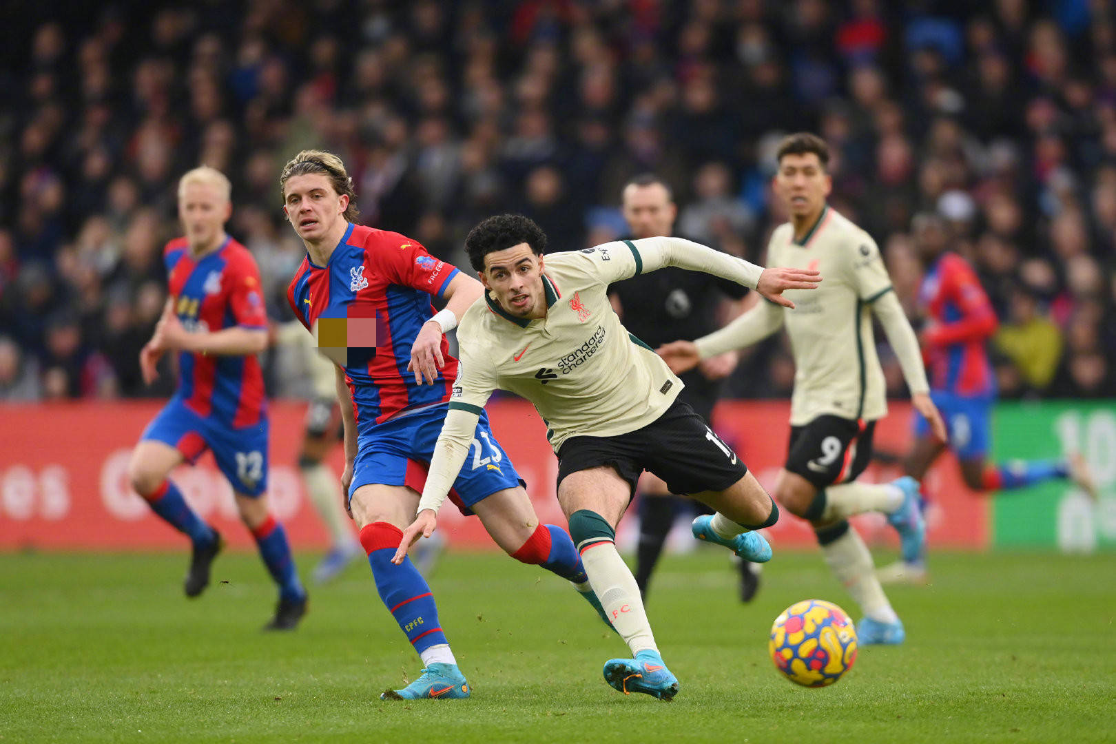 仅以10人 仅以10人