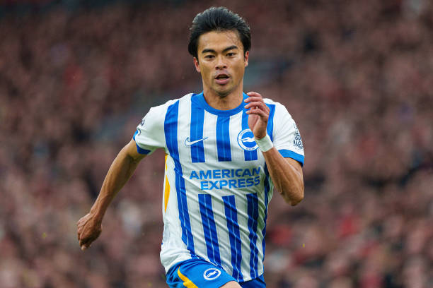 外战外行 外战外行